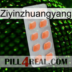 Ziyinzhuangyang 26